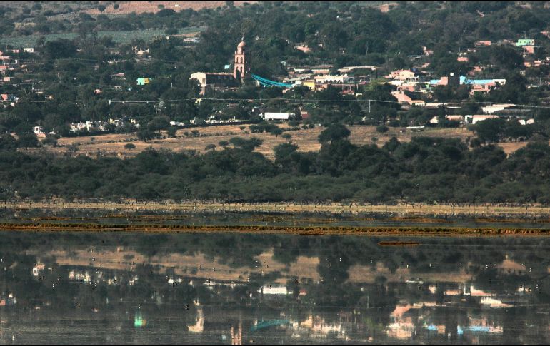 Techaluta es popular porque uno de los mayores ingresos económicos se genera durante los meses de abril y mayo, gracias al cultivo y venta de las tradicionales pitayas. EL INFORMADOR / ARCHIVO