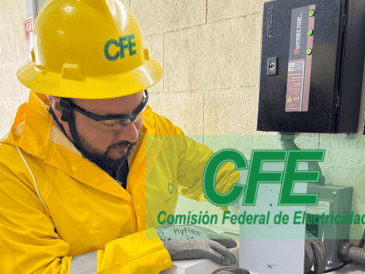 Este corte responde a la necesidad de crear condiciones adecuadas para que el personal técnico de la CFE realice mejoras en la infraestructura eléctrica. ESPECIAL/CFE