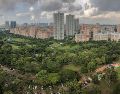 Singapur es considerada a menudo como una Ciudad Jardín, con numerosas especies de árboles y flores en toda la isla, parques verdes, reservas y exuberantes exhibiciones de plantas. EFE / ARCHIVO