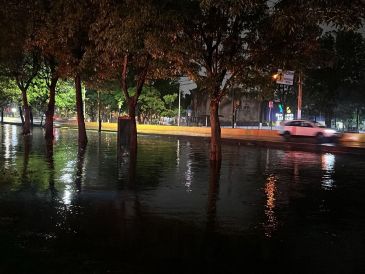 En las labores de limpieza trabajan más de 300 funcionarios de diversas dependencias del Ayuntamiento de Guadalajara. ESPECIAL / Protección Civil y Bomberos de Zapopan