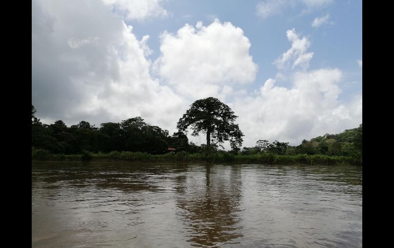 Río San Carlos. ESPECIAL/XOCHITL MARTÍNEZ.