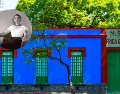 Celebra el mes de Frida Kahlo con diferentes actividades en "La Casa Azul". ESPECIAL / MUSEO FRIDA KAHLO / NTX / ARCHIVO