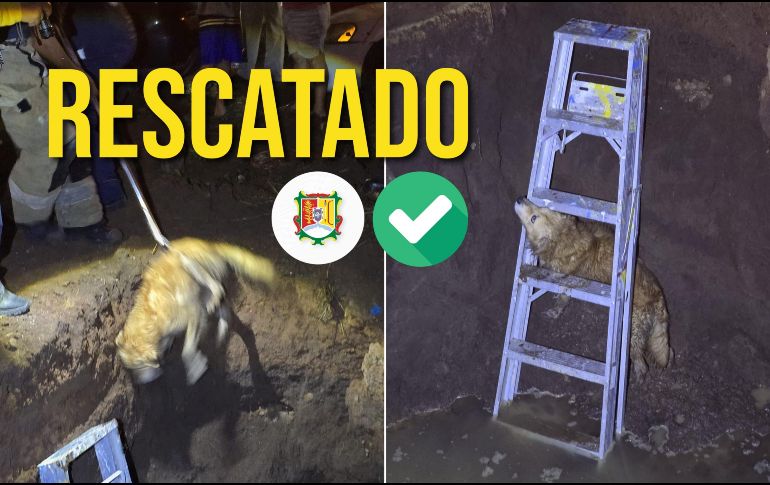 Elementos de Protección Ciudadana y Bomberos de Nayarit rescataron al perro atrapado con éxito. ESPECIAL / FACEBOOK Protección Ciudadana y Bomberos de Nayarit