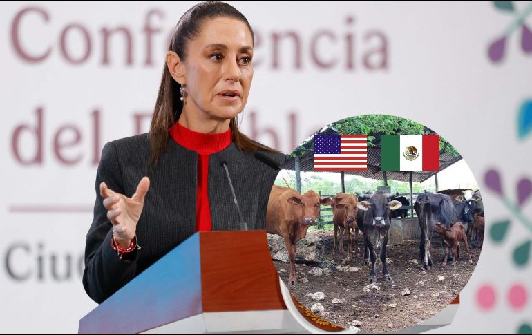 Estados Unidos decidió cerrar nuevamente la frontera al ganado, tras reportarse un caso de gusano barrenador en Veracruz. SUN / D. SIMÓN / ARCHIVO