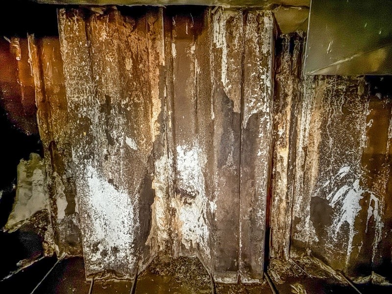 La aparición de manchas blancas es otra de las consecuencias de filtraciones de agua. EL INFORMADOR / A. Navarro 