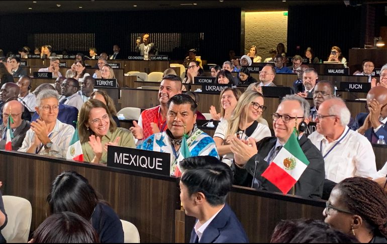 La Unesco ha anunciado un nuevo Patrimonio Mundial ubicado en México. EFE / Isabel Rodríguez Ramiro