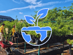 El director de Medio Ambiente de Zapopan, señaló que los huertos contarán con guamúchil, retama, parota y otra gran cantidad de especies. ESPECIAL