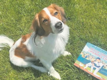 Decoy, la mascota del pelotero japonés, es el protagonista del libro. ESPECIAL