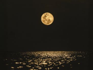 APOD: la foto del día… cortesía del universo, no de Instagram. UNSPLASH.COM