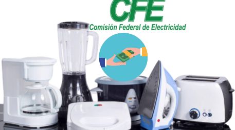 El trámite es totalmente gratuito. El tiempo de respuesta queda en un plazo máximo de 10 días hábiles. ESPECIAL / CANVA