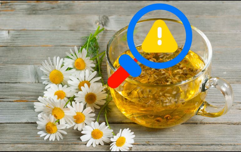 Si bien tomar una taza de manzanilla de forma ocasional difícilmente provocará problemas, es fundamental prestar atención a la respuesta del cuerpo y consultar al médico si se tienen condiciones especiales de salud. CANVA