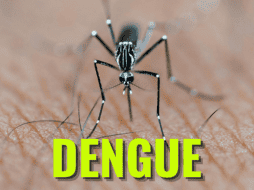 El fortalecimiento de la estrategia estatal contra el dengue ha dado como resultado la reducción de casos en la región. ESPECIAL