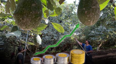 Especialistas esperan un desempeño más modesto hacia adelante, debido en parte a la creciente incertidumbre que ha generado la política comercial proteccionista EU, principal destino de las exportaciones mexicanas. ESPECIAL / SUN y CANVA