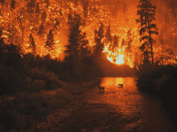 Las emisiones de incendios forestales en Nuevo México fueron, en julio, las terceras más altas desde que hay registros, únicamente superadas por las de los años 2011 y 2003. ESPECIAL / Canva
