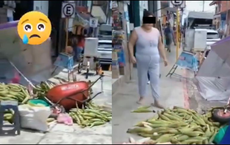 Varios usuarios la bautizaron como “Lady Elotes”, uniéndola a la lista de personajes virales señalados por comportamientos abusivos o irrespetuosos en el espacio público. X/@PandaDelAmor19