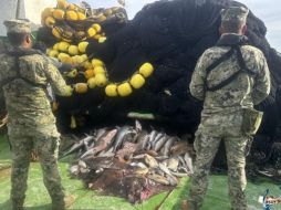 En diversos estados como Jalisco se efectuó ese decomiso como parte de los operativos de inspección y vigilancia. ESPECIAL/X @SEMAR_mx