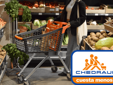 Frescura y sabor sin igual, encuéntralo este 5 y 6 de agosto en el MartiMiércoles de Chedraui. ESPECIAL/ CANVA