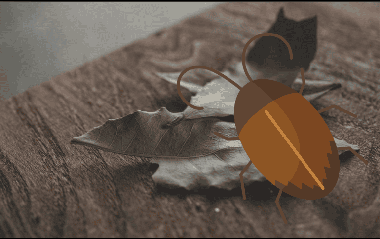 Te compartimos cinco métodos caseros que te ayudarán a controlar esta plaga de forma segura, económica y sin dañar el entorno. ESPECIAL/ Unsplash