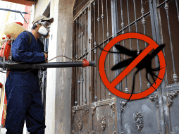 El dengue es una enfermedad viral febril que se transmite por la picadura de un mosquito hembra del género aedes aegypti que esté infectado con alguno de los 4 serotipos del virus. EL INFORMADOR / ARCHIVO