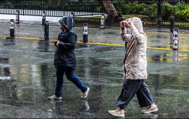 El especialista Mauricio López Reyes indicó que no es una cantidad tan preocupante, sobre todo porque hemos tenido precipitaciones importantes. EL INFORMADOR/ARCHIVO