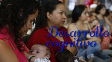 La leche materna contiene ácidos grasos poliinsaturados de cadena larga, neurotransmisores y factores hormonales que son esenciales para el desarrollo cerebral. EFE / ARCHIVO