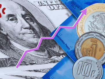 Recuerda que la cotización del dólar cambia a lo largo del día, por lo que su precio final de compra y venta puede variar. ESPECIAL / Canva