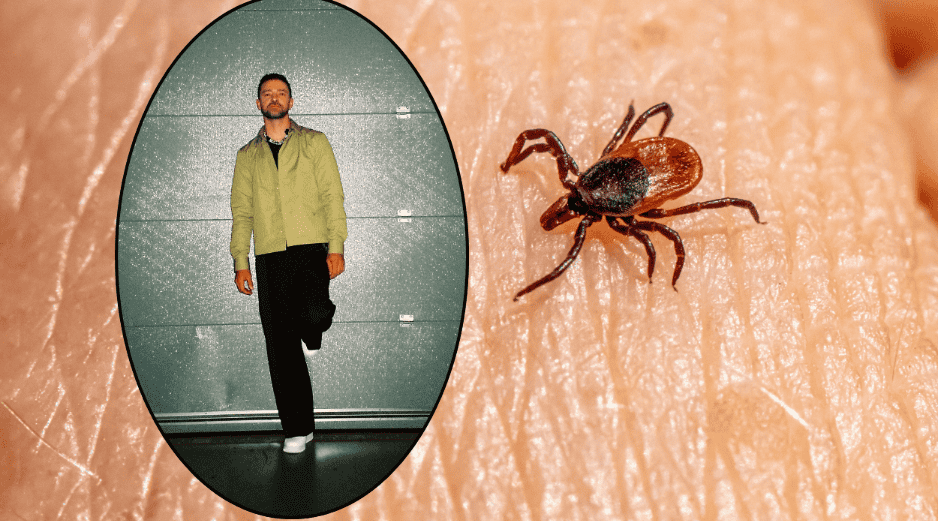 Thalia, Justin Bieber y Justin Timbarlake son algunos de los famosos que padecen la enfermedad de Lyme. ESPECIAL/Facebook @Justin Timberlake