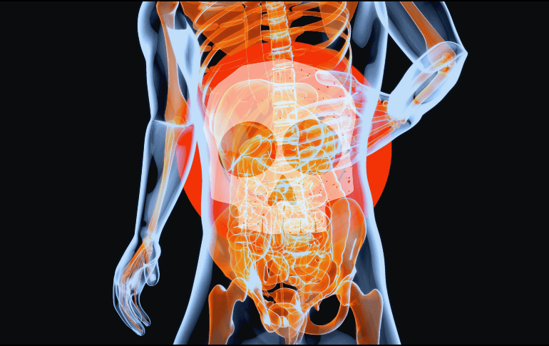 Según fuentes médicas oficiales como el Instituto Nacional del Cáncer de EUA, los síntomas tempranos incluyen indigestión, sensación de llenura con poca comida, ardor estomacal, náuseas y pérdida de apetito. ESPECIAL / Canva