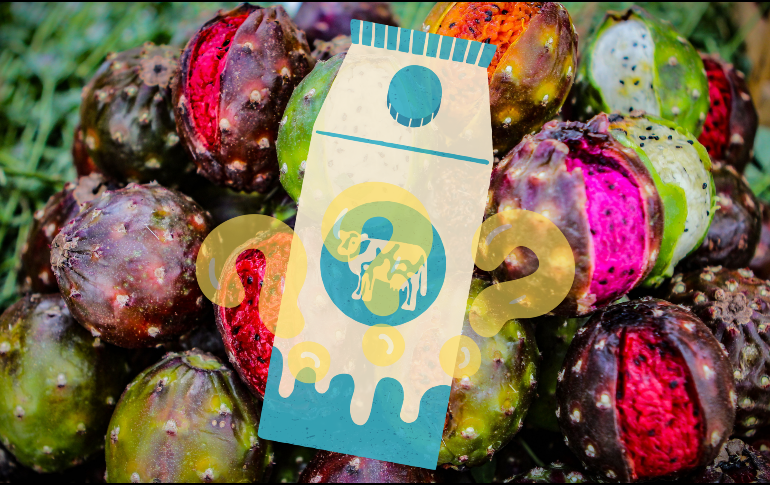 Aunque tomar licuados de frutas por la mañana, combinar ciertas frutitas con la leche puede acarrear malestares estomacales. EL INFORMADOR / ARCHIVO