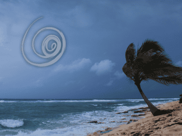 Hasta ahora, en el Pacífico se han formador cuatro tormentas tropicales y cinco huracanes: "Bárbara", "Erick", "Flossie", "Gil" y "Henriette". ESPECIAL / CANVA