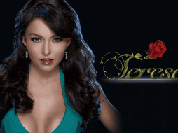 Angelique Boyer celebra los 15 años de 