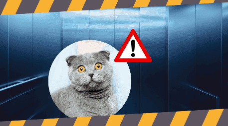 Sin duda es importante aclarar que el desplome de un elevador en nuestra época es casi imposible que suceda debido a los avances tecnológicos y mecánicos involucrados en el funcionamiento de estos. SPLASH / B. Kelzer / A. Umansky