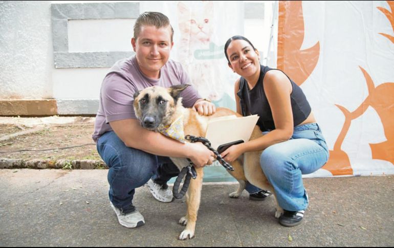 Nueva familia. Perros rescatados encontraron un nuevo hogar gracias a la Feria de Adopción “Amigos de Guafdalajara”. ESPECIAL