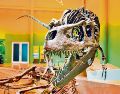En este museo es posible conocer de cerca la era de los dinosaurios. CORTESÍA