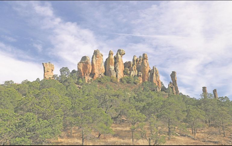 Sierra de Órganos. Este Parque Nacional deslumbra con sus formaciones rocosas que parecen los tubos gigantes de un órgano.CORTESÍA