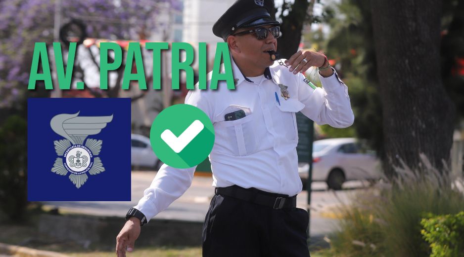 Un arbol caído a la altura del Bosque Los Colomos provocó el cierre de avenida Patria por unos momentos. EL INFORMADOR / ARCHIVO