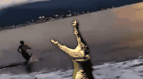 Un hombre advierte a los bañistas sobre la presencia de un cocodrilo en el mar, pero un joven que está a la orilla no se da cuenta de que el animal se localiza a su lado. ESPECIAL