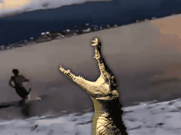 Un hombre advierte a los bañistas sobre la presencia de un cocodrilo en el mar, pero un joven que está a la orilla no se da cuenta de que el animal se localiza a su lado. ESPECIAL