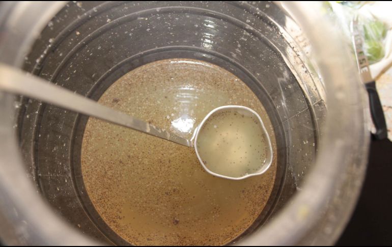 En México es común que se consuma el agua de limón con chía, una receta refrescante en la que las semillas, al contacto con el líquido, adquieren una textura gelatinosa que resulta muy agradable. NTX / ARCHIVO