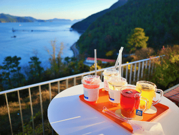 Desde opciones refrescantes hasta bebidas cálidas que invitan a la cercanía, conocer las alternativas ideales te permitirá disfrutar del momento con confianza y comodidad. Unsplash