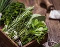 Las plantas aromáticas no solo mejoran el sabor de los alimentos, también convierten la cocina en un lugar lleno de vida, color y frescura. ESPECIAL / CANVA
