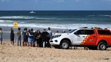 Los escualos -especialmente el gran tiburón blanco- al igual que los cocodrilos, son dos temidos animales de Australia conocidos por sus esporádicos ataques a humanos. EFE/EPA/Dean Lewins Australia and New Zealand Out
