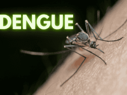 Desde enero se han puesto en marcha brigadas en el Área Metropolitana de Guadalajara (AMG) y otros municipios del estado para controlar la propagación del dengue. ESPECIAL