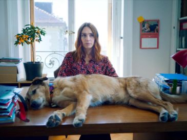 "El juicio de un perro" ya está en la cartelera de cine tapatía. ESPECIAL/TULIP PICTURES.