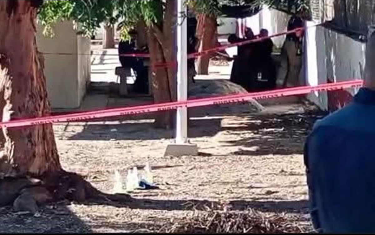 De las primeras indagatorias realizadas por personal ministerial y de servicios periciales, se desprende que el objetivo era el taller mecánico, cuyo propietario manifestó que ya había recibido amenazas y ataques de este tipo a su establecimiento. ESPECIAL