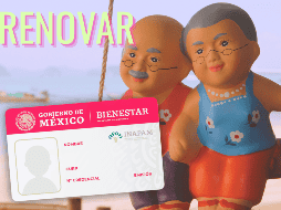 El trámite para obtener o renovar la tarjeta es completamente gratuito y la entrega se realiza de manera inmediata. ESPECIAL / Canva