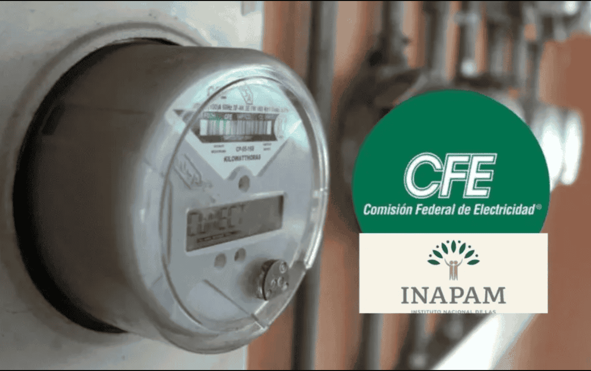 Entre las ventajas que otorga este documento se encuentran descuentos en áreas como salud, alimentación, transporte, servicios legales, educación, cultura, pago de predial y agua, así como en rubros de vestido y hogar. ESPECIAL/ EL INFORMADOR/ ARCHIVO