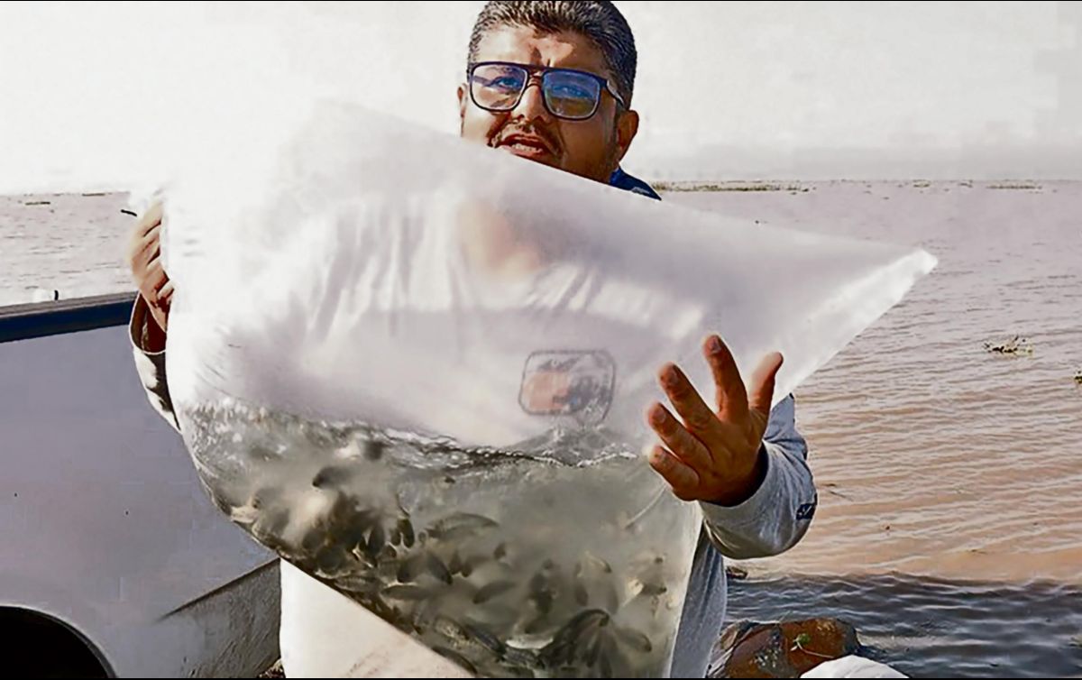 La iniciativa de SADER Jalisco y el municipio de Ocotlán beneficiará a más de 300 pescadores locales. ESPECIAL