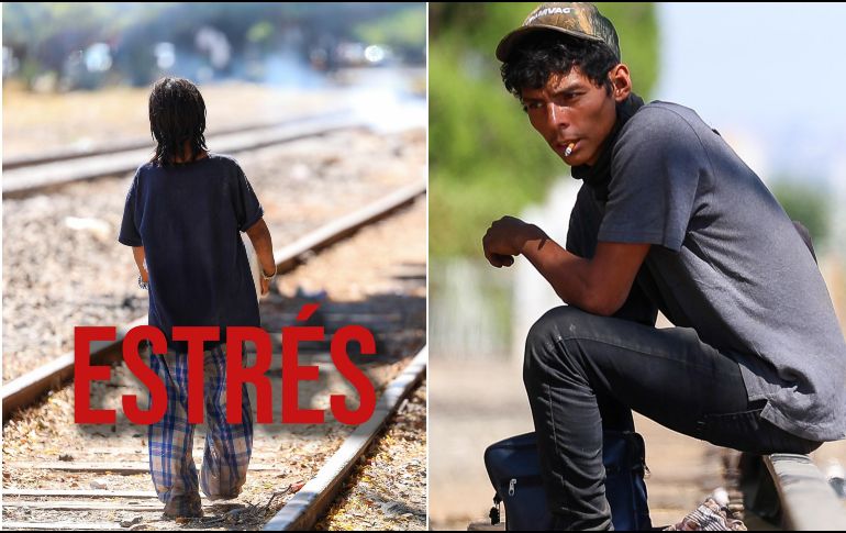 Lo que suceda como niño puede repercutir en la salud del adulto; así lo dicen estos estudios. EL INFORMADOR / ARCHIVO