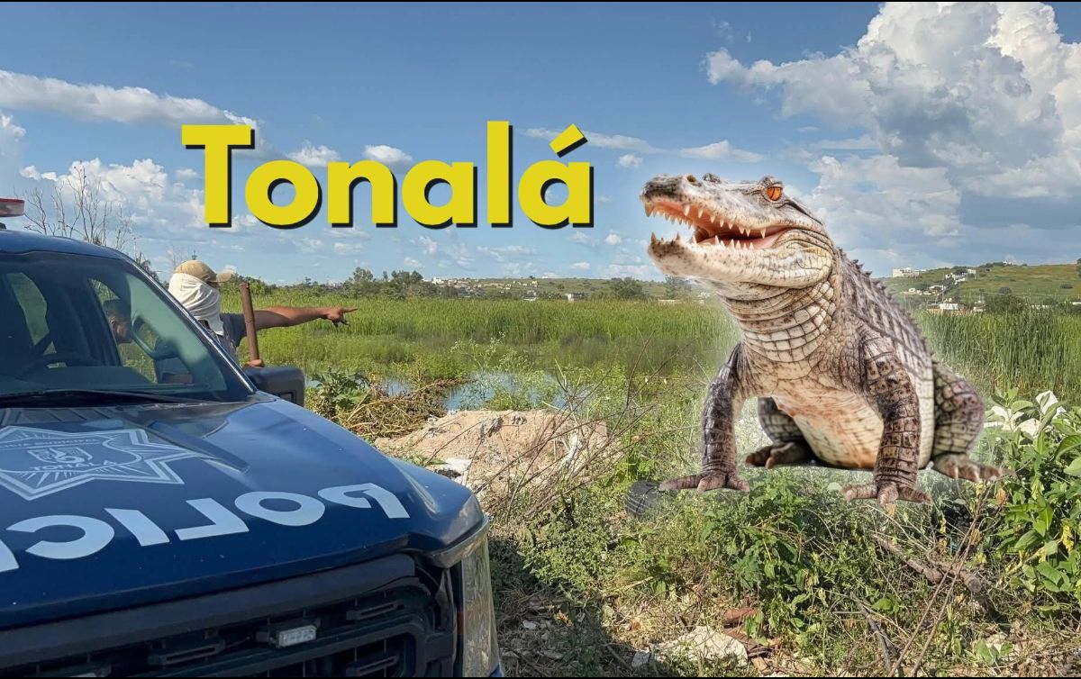 La zona se encuentra resguardada a la espera de la captura y traslado del cocodrilo. ESPECIAL / FACEBOOK Coordinación de Seguridad y Emergencias Tonalá